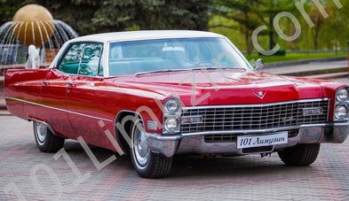 Автомобиль на свадьбу № 13955 - Транспортная компания 101 Лимузин