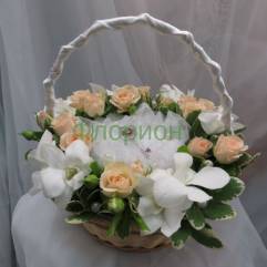 Салон цветов Ветка Сакуры